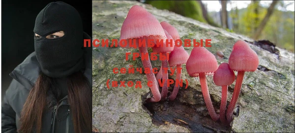 скорость Гусь-Хрустальный