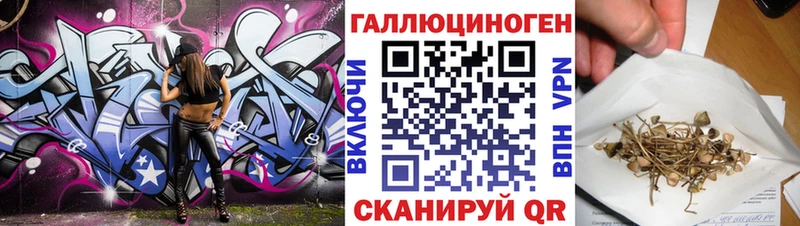 наркотики  Западная Двина  Псилоцибиновые грибы Cubensis 